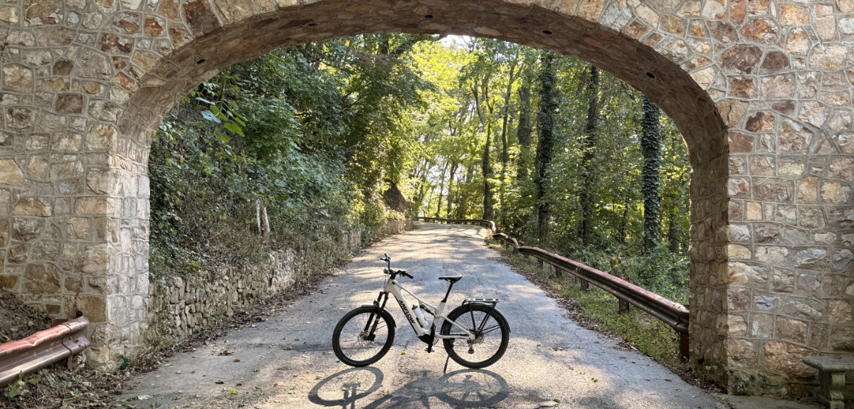Amflow TL Carbon