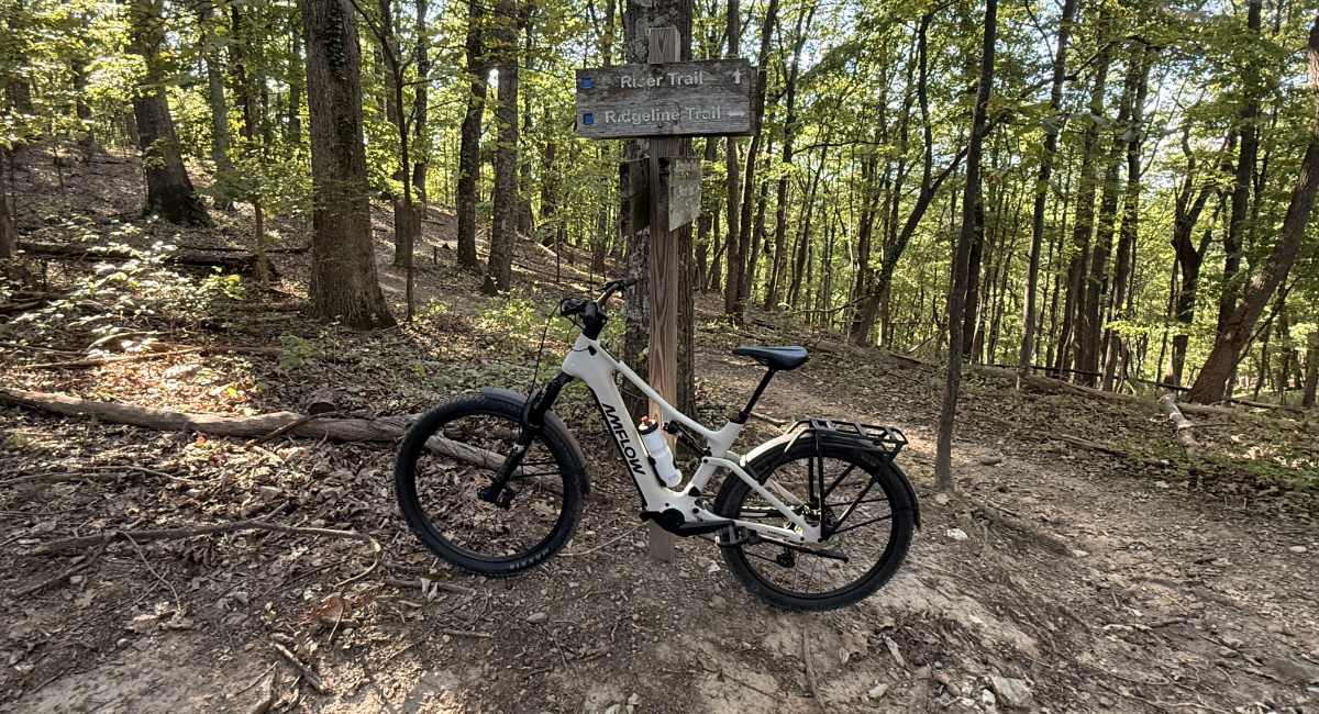 Amflow TL Carbon