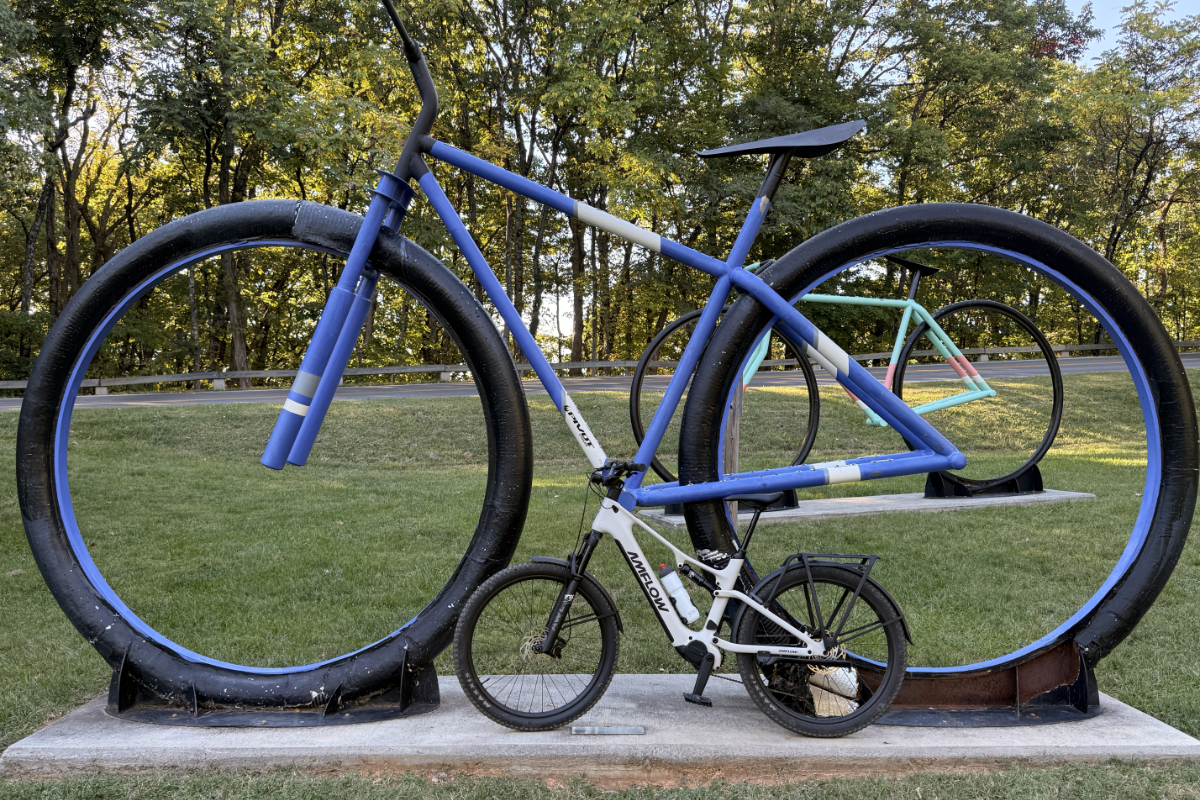 Amflow TL Carbon